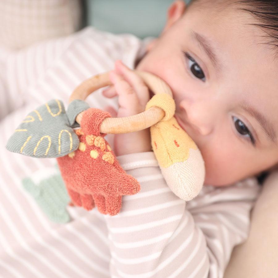 Dino Activity Ring Rattle